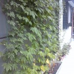 100807_094537