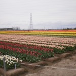 にいつ 057